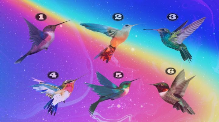 Test de personalidad: El colibrí que elijas te revelará quién eres en realidad