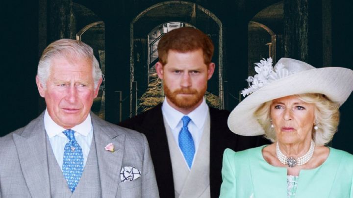 El Príncipe Harry, desesperado, toma una drástica decisión tras la muerte de la Reina Isabel