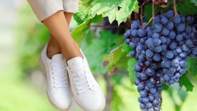 Las zapatillas de piel de uva "made in spain" que tienen lista de espera y son furor para el otoño