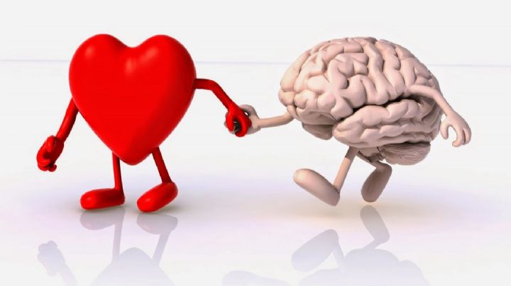 Inteligencia emocional: en qué es fundamental y cómo podemos aplicarla a nuestro estilo de vida