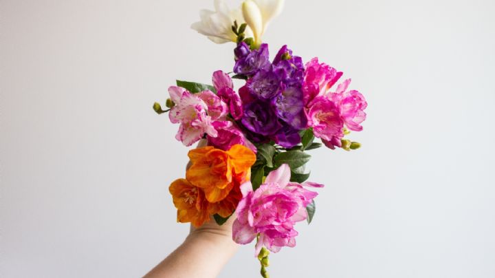 Jardinería: Enraiza tus flores cortadas de forma sencilla con un ingrediente de cocina