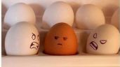 Reto viral: ¿puedes identificar el huevo real en menos de 10 segundos?