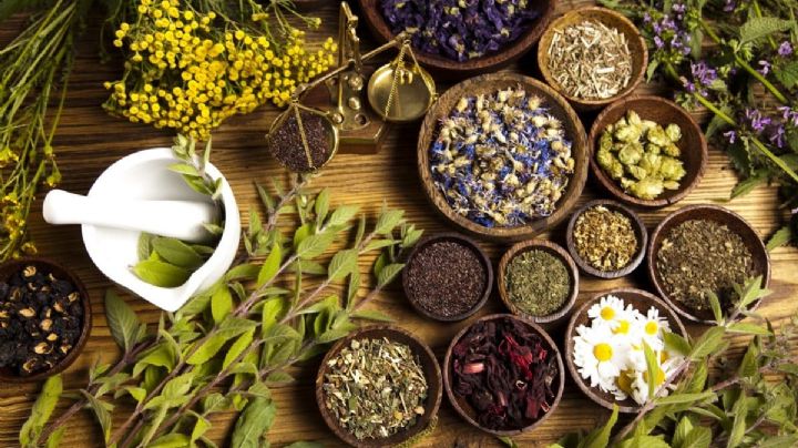 Descubre 4 hierbas para remedios caseros beneficiosos para tu salud