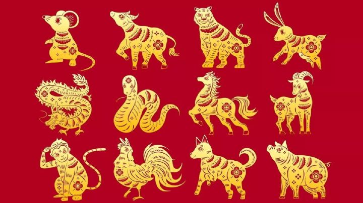  Año del Dragón: el futuro según el horóscopo Chino para el 2024