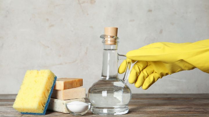 Productos al alcance de tus manos: trucos infalibles para la limpieza de tu baño