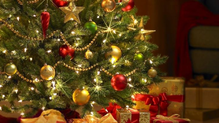 Iluminación express: el truco viral que hace sencillo colocar las luces en tu árbol de Navidad