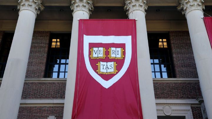 Descubre los tres cursos online y gratuitos que ofrece Harvard para aprender sin salir de casa