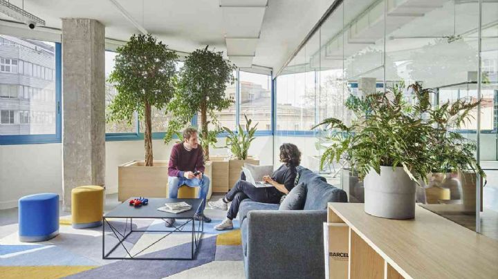 Cómo debes decorar tu oficina con plantas según el Feng Shui