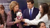 Fantástica visita de la Reina Sofía al refugio de animales Las Rozas