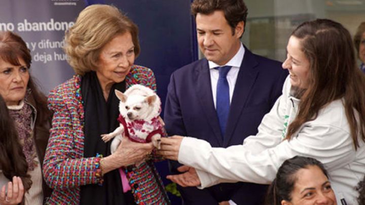Fantástica visita de la Reina Sofía al refugio de animales Las Rozas