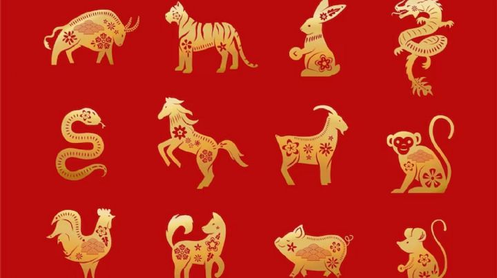 Descubre los amuletos que te protegen según el horóscopo chino