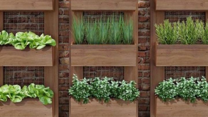 Cultiva tu propio huerto en casa con estas ideas para espacios pequeños y plantas para germinar en marzo en España