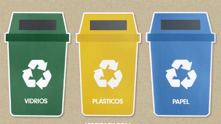Estos son los pasos que tienes que hacer para reciclar y salvar el mundo sin hacer mucho esfuerzo